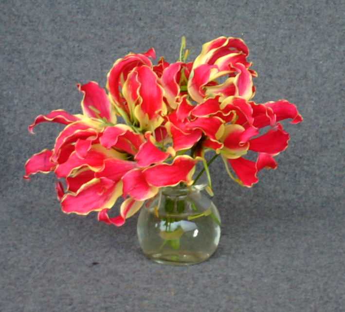 Red Rothschildiana